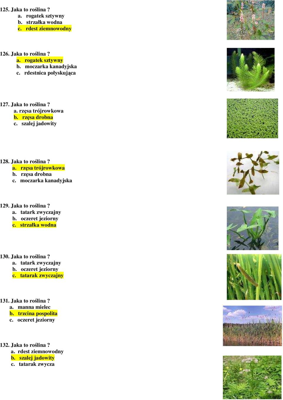Jaka to roślina? a. tatark zwyczajny b. oczeret jeziorny c. strzałka wodna 130. Jaka to roślina? a. tatark zwyczajny b. oczeret jeziorny c. tatarak zwyczajny 131.