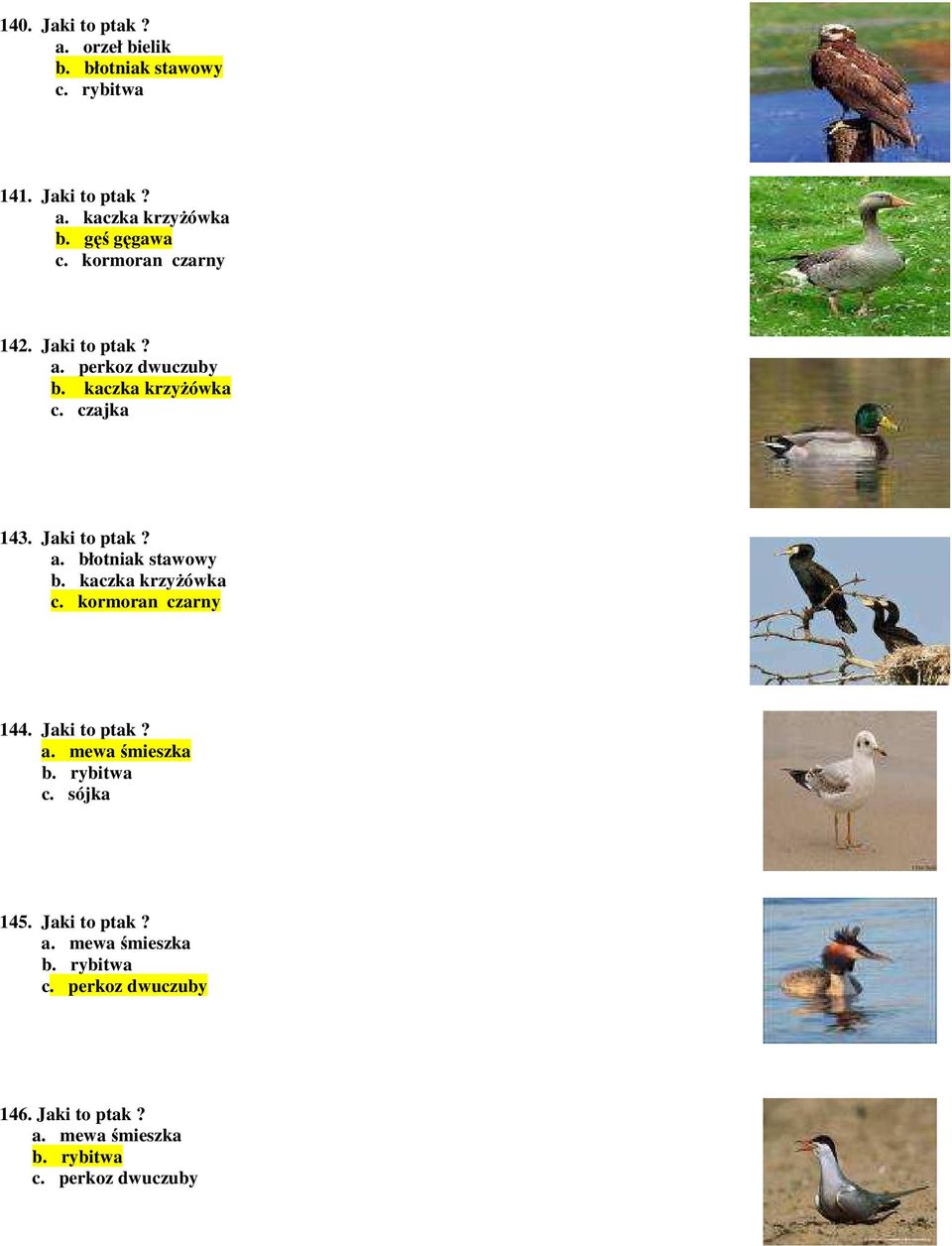 kaczka krzyŝówka c. kormoran czarny 144. Jaki to ptak? a. mewa śmieszka b. rybitwa c. sójka 145. Jaki to ptak? a. mewa śmieszka b. rybitwa c. perkoz dwuczuby 146.
