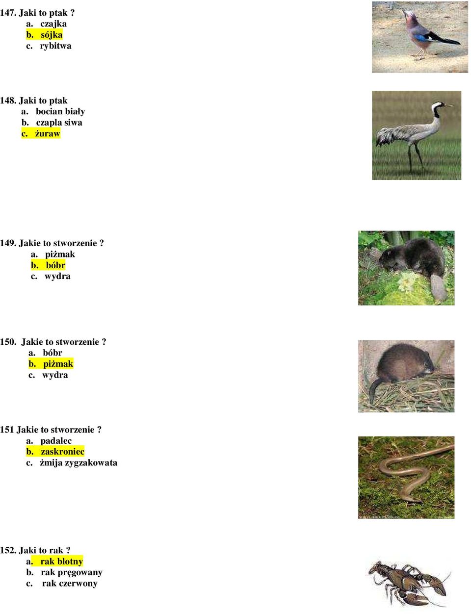 Jakie to stworzenie? a. bóbr b. piŝmak c. wydra 151 Jakie to stworzenie? a. padalec b.