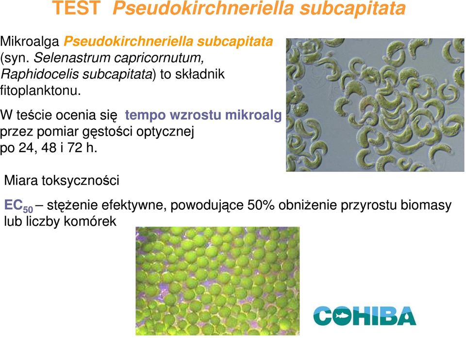 W teście ocenia się tempo wzrostu mikroalg przez pomiar gęstości optycznej po 24, 48 i 72