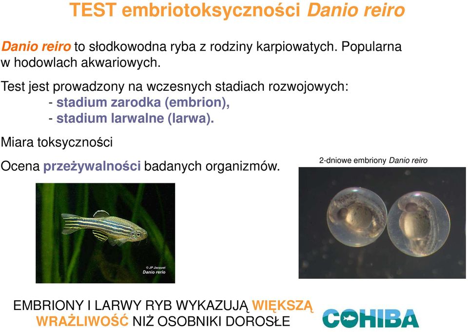 Test jest prowadzony na wczesnych stadiach rozwojowych: - stadium zarodka (embrion), - stadium