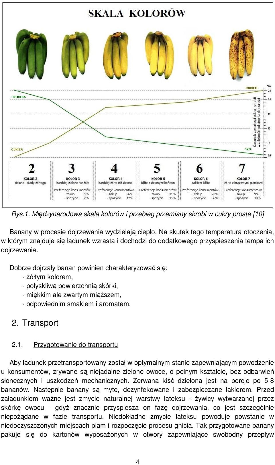 Dobrze dojrzały banan powinien charakteryzować się: - Ŝółtym kolorem, - połyskliwą powierzchnią skórki, - miękkim ale zwartym miąŝszem, - odpowiednim smakiem i aromatem. 2. Transport 2.1.