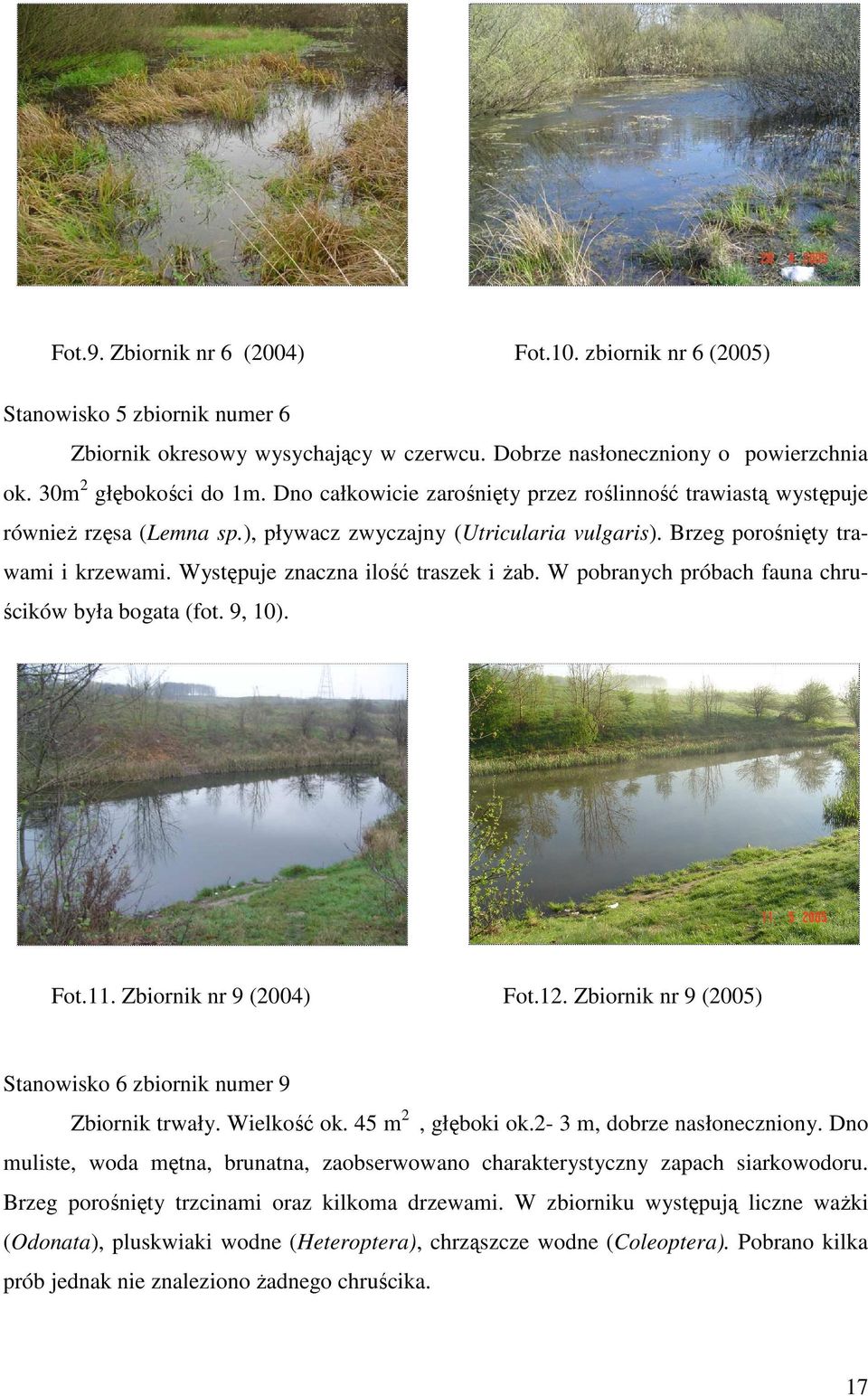 Występuje znaczna ilość traszek i Ŝab. W pobranych próbach fauna chruścików była bogata (fot. 9, 10). Fot.11. Zbiornik nr 9 (2004) Fot.12.