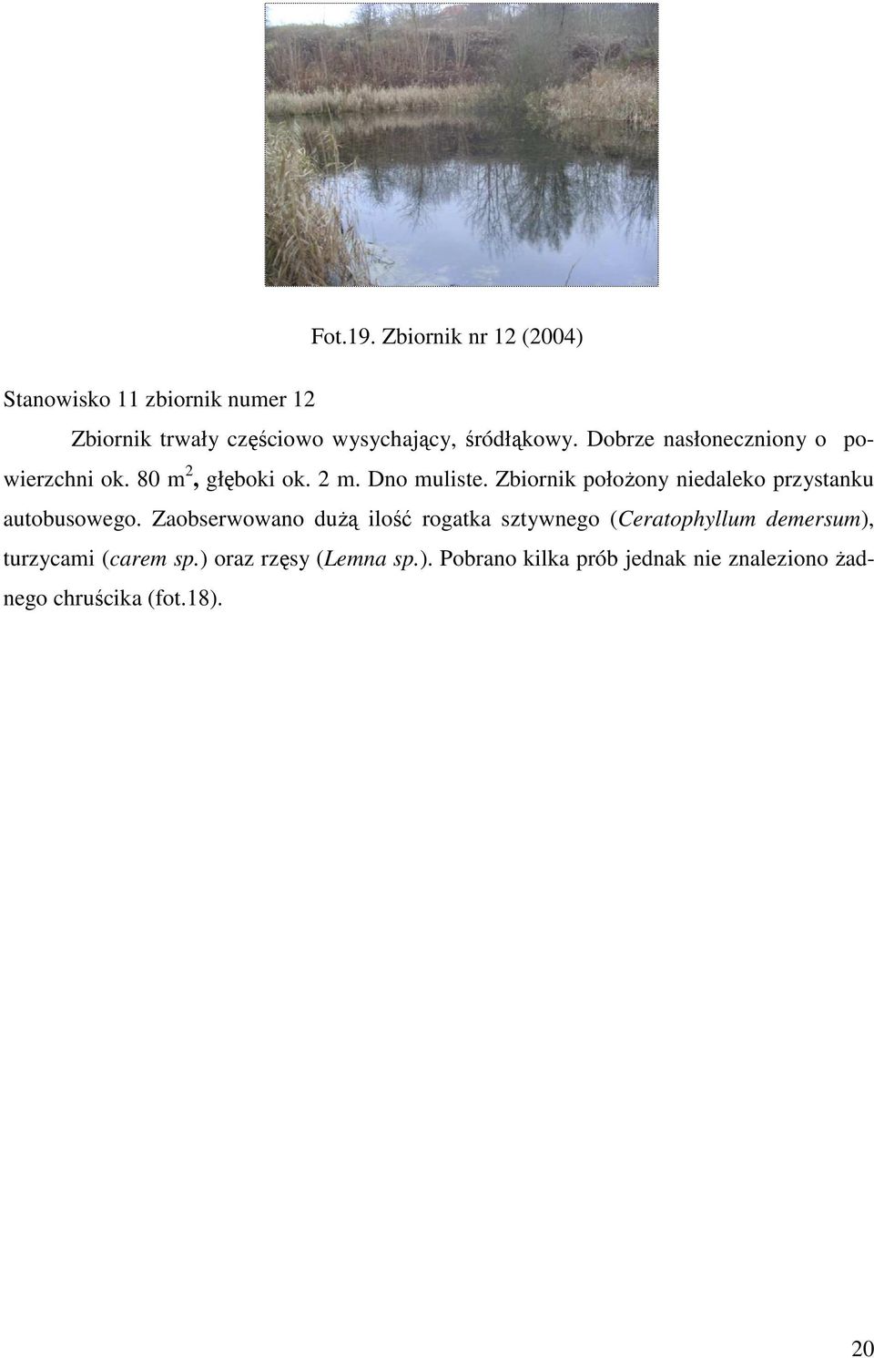 Dobrze nasłoneczniony o powierzchni ok. 80 m 2, głęboki ok. 2 m. Dno muliste.