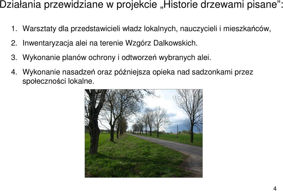 Inwentaryzacja alei na terenie Wzgórz Dalkowskich. 3.