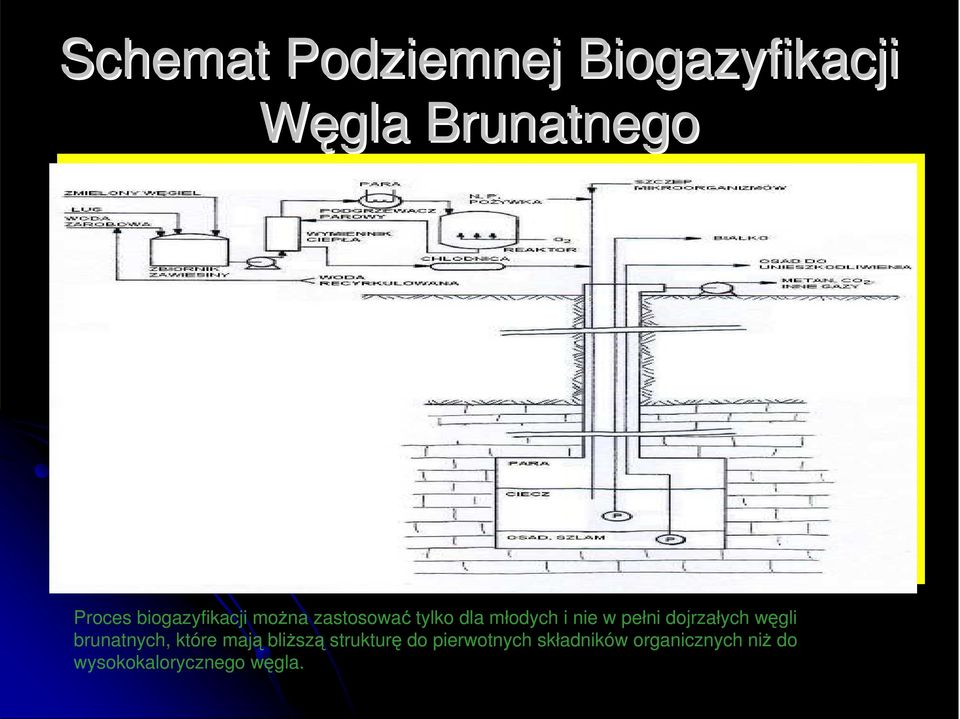 pełni dojrzałych węgli brunatnych, które mają bliŝszą