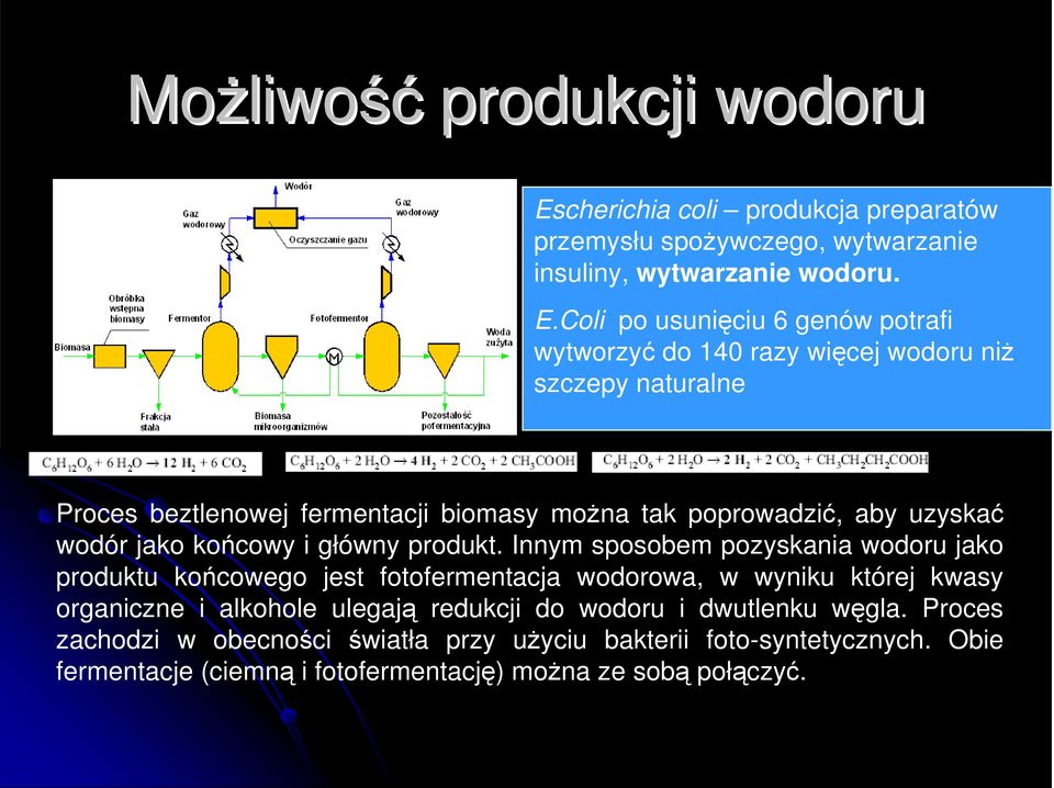 Coli po usunięciu 6 genów potrafi wytworzyć do 140 razy więcej wodoru niŝ szczepy naturalne Proces beztlenowej fermentacji biomasy moŝna tak poprowadzić, aby uzyskać