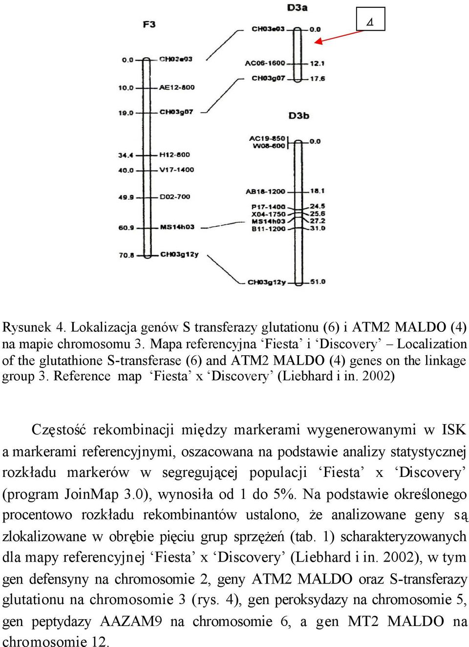 2002) Częstośćrekombinacji między markerami wygenerowanymi w ISK a markerami referencyjnymi, oszacowana na podstawie analizy statystycznej rozkładu markerów w segregującej populacji Fiesta x