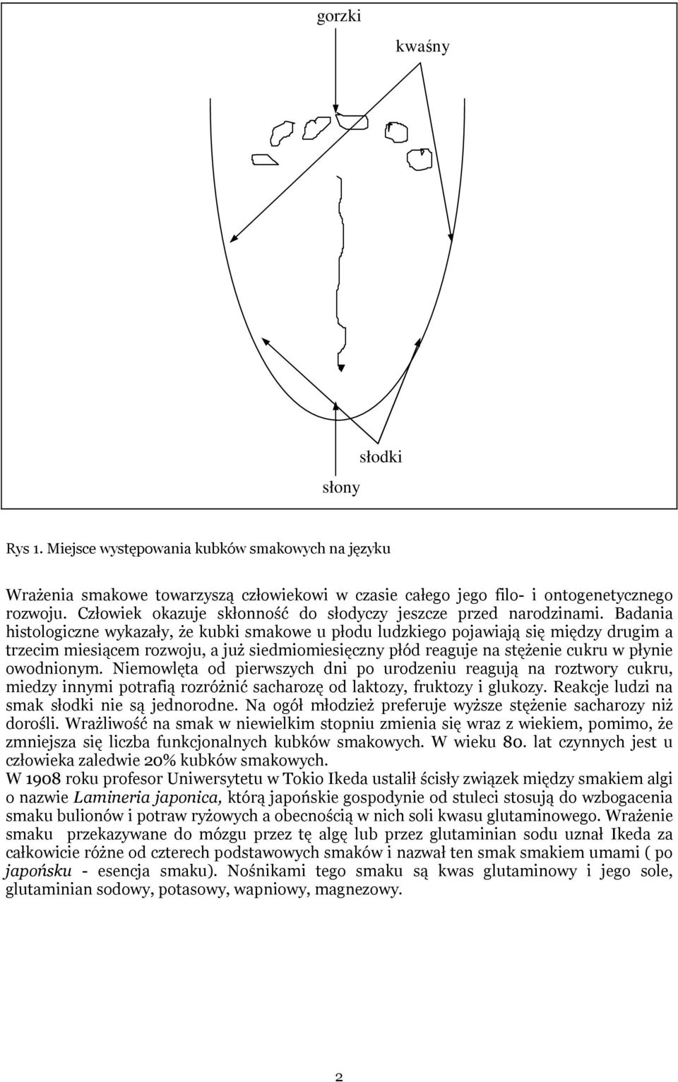 Badania histologiczne wykazały, że kubki smakowe u płodu ludzkiego pojawiają się między drugim a trzecim miesiącem rozwoju, a już siedmiomiesięczny płód reaguje na stężenie cukru w płynie owodnionym.