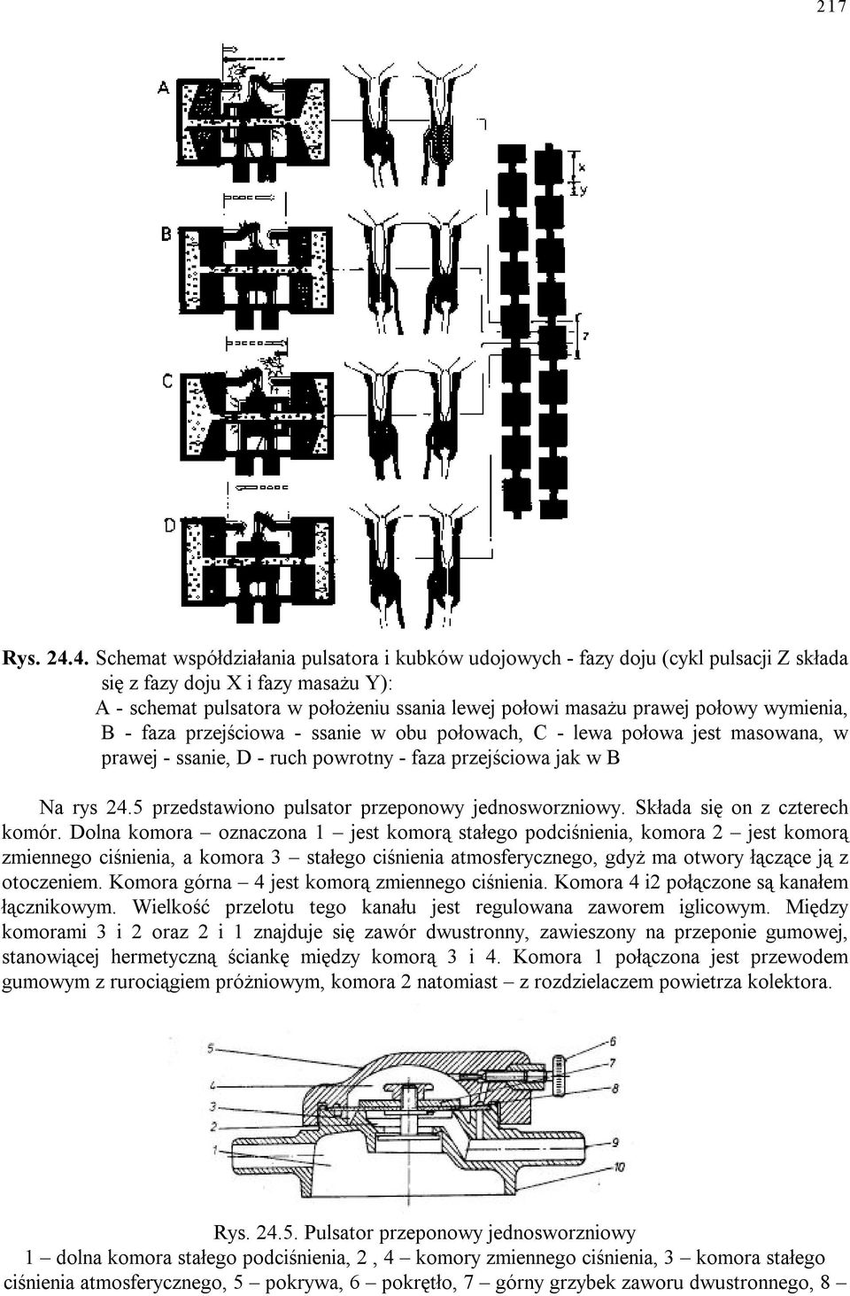 połowy wymienia, B - faza przejściowa - ssanie w obu połowach, C - lewa połowa jest masowana, w prawej - ssanie, D - ruch powrotny - faza przejściowa jak w B Na rys 24.