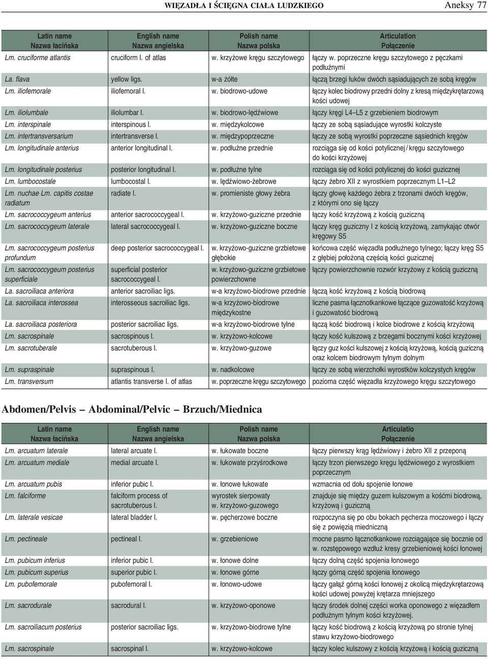 iliolumbale iliolumbar l. w. biodrowo-lędźwiowe łączy kręgi L4 L5 z grzebieniem biodrowym Lm. interspinale interspinous l. w. międzykolcowe łączy ze sobą sąsiadujące wyrostki kolczyste Lm.