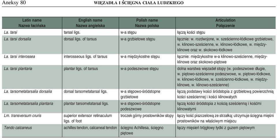 tarsi plantaria plantar ligs. of tarsus w-a stępu dolna warstwa więzadeł stopy (w. długie, w. piętowo-sześcienne, w. piętowo-łódkowe, w. klinowo-łódkowe, w. sześcienno-łódkowe, w. międzyklinowe, w.