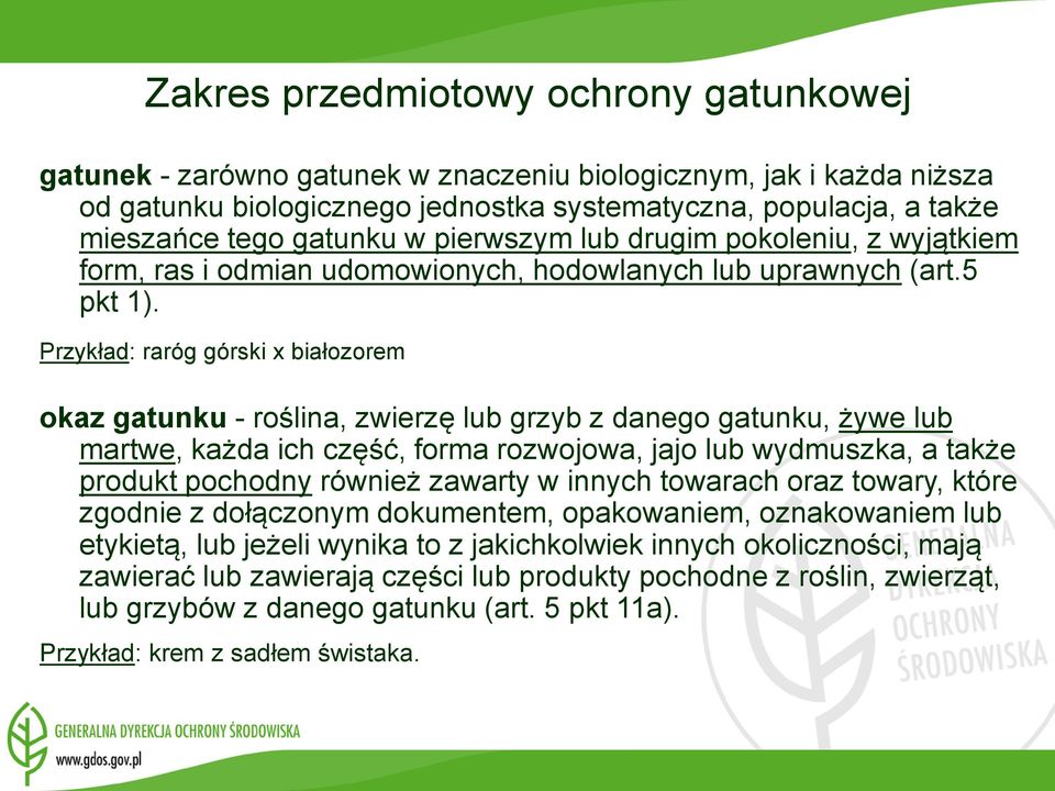 Przykład: raróg górski x białozorem okaz gatunku - roślina, zwierzę lub grzyb z danego gatunku, żywe lub martwe, każda ich część, forma rozwojowa, jajo lub wydmuszka, a także produkt pochodny również