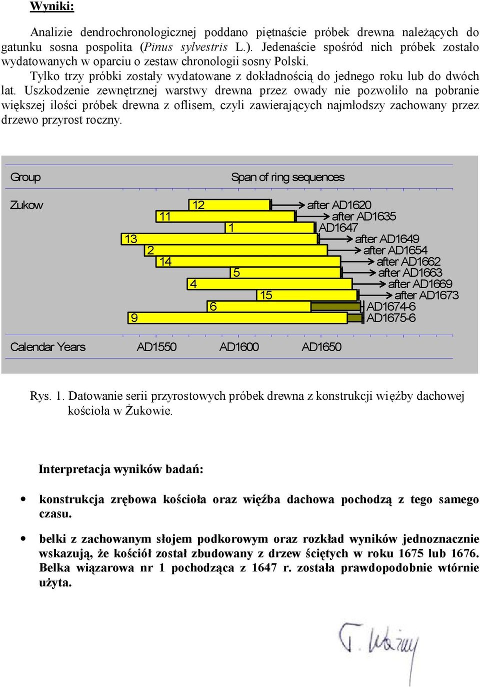 Uszkodzenie zewnętrznej warstwy drewna przez owady nie pozwoliło na pobranie większej ilości próbek drewna z oflisem, czyli zawierających najmłodszy zachowany przez drzewo przyrost roczny.