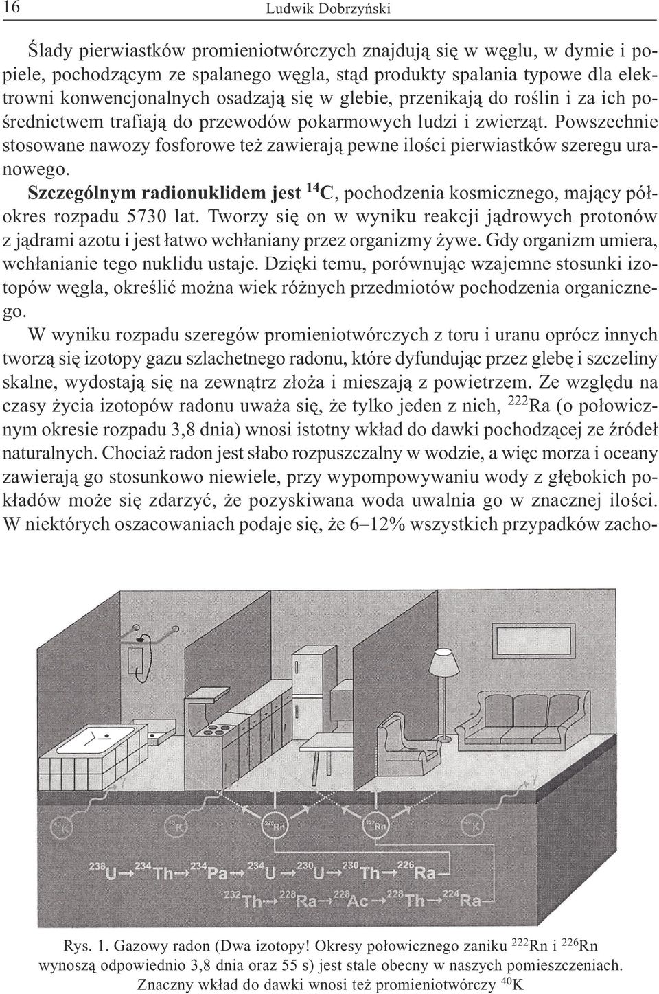 Powszechnie stosowane nawozy fosforowe te zawieraj¹ pewne iloœci pierwiastków szeregu uranowego. Szczególnym radionuklidem jest 14 C, pochodzenia kosmicznego, maj¹cy pó³okres rozpadu 5730 lat.