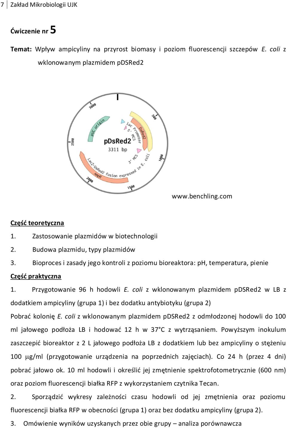coli z wklonowanym plazmidem pdsred2 w LB z dodatkiem ampicyliny (grupa 1) i bez dodatku antybiotyku (grupa 2) Pobrać kolonię E.