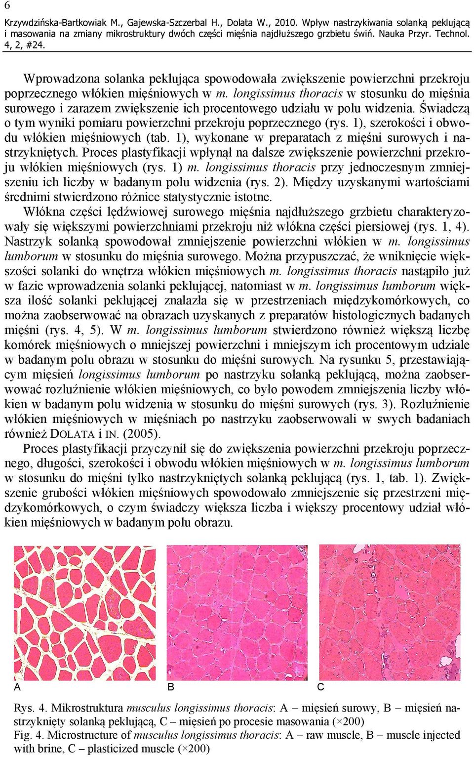 longissimus thorcis w stosunku do mięśni surowego i zrzem zwiększenie ich procentowego udziłu w polu widzeni. Świdczą o tym wyniki pomiru powierzchni przekroju poprzecznego (rys.