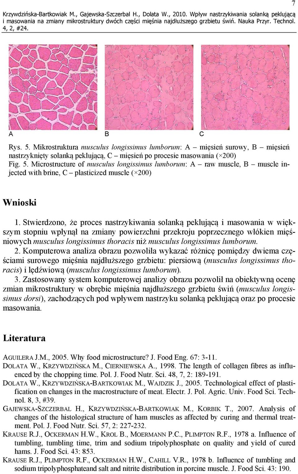 Microstructure of musculus longissimus lumborum: A rw muscle, B muscle injected with brine, C plsticized muscle ( 200) Wnioski 1.