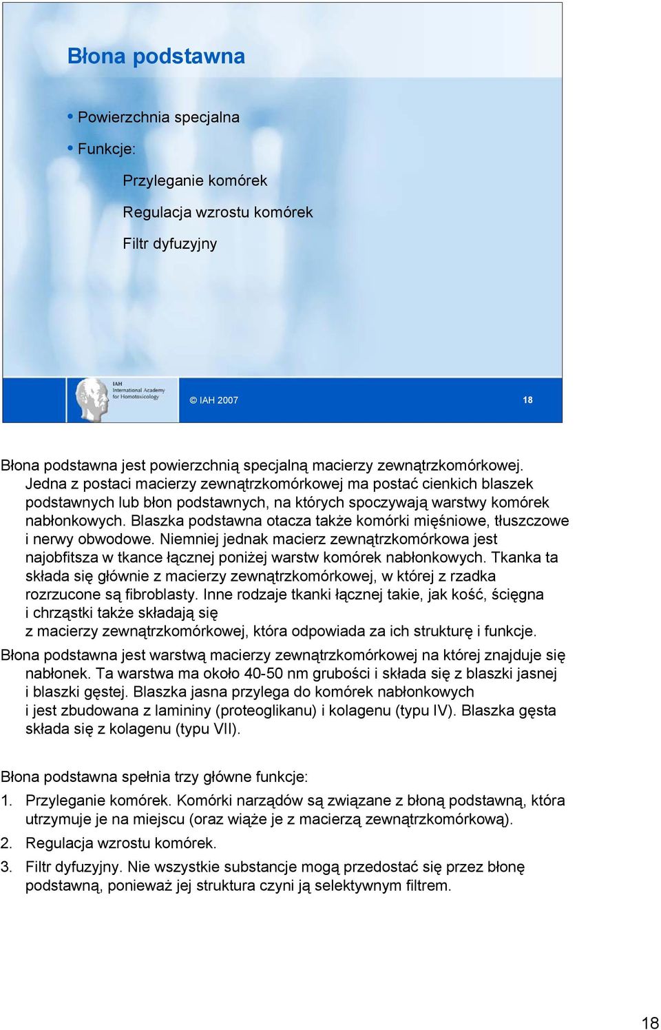 Blaszka podstawna otacza także komórki mięśniowe, tłuszczowe i nerwy obwodowe. Niemniej jednak macierz zewnątrzkomórkowa jest najobfitsza w tkance łącznej poniżej warstw komórek nabłonkowych.