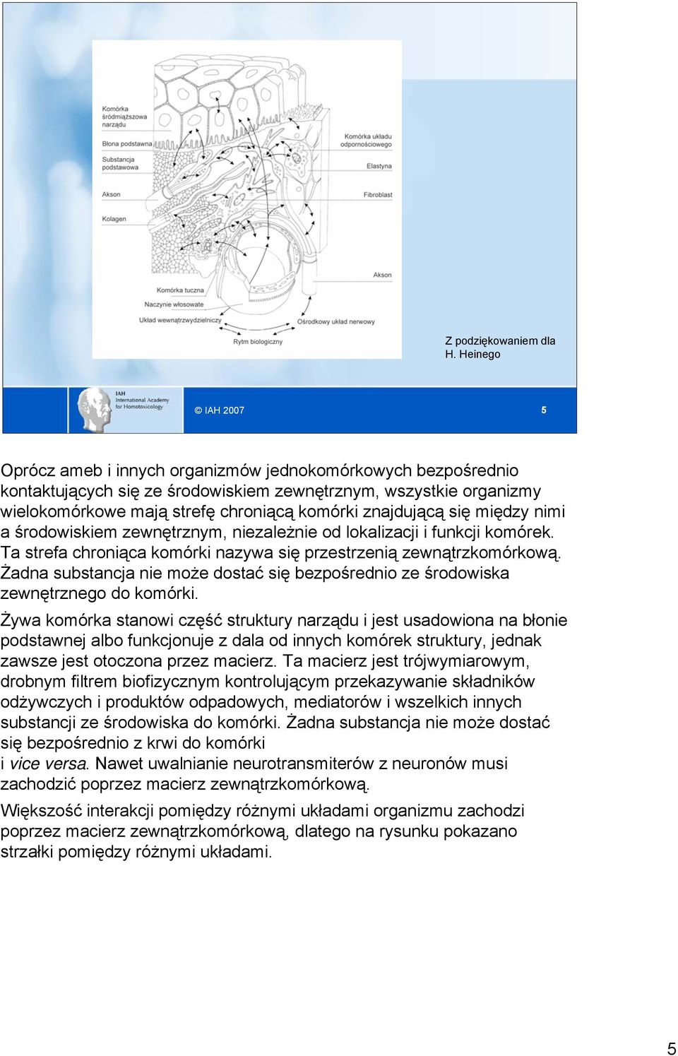 znajdującą się między nimi a środowiskiem zewnętrznym, niezależnie od lokalizacji i funkcji komórek. Ta strefa chroniąca komórki nazywa się przestrzenią zewnątrzkomórkową.