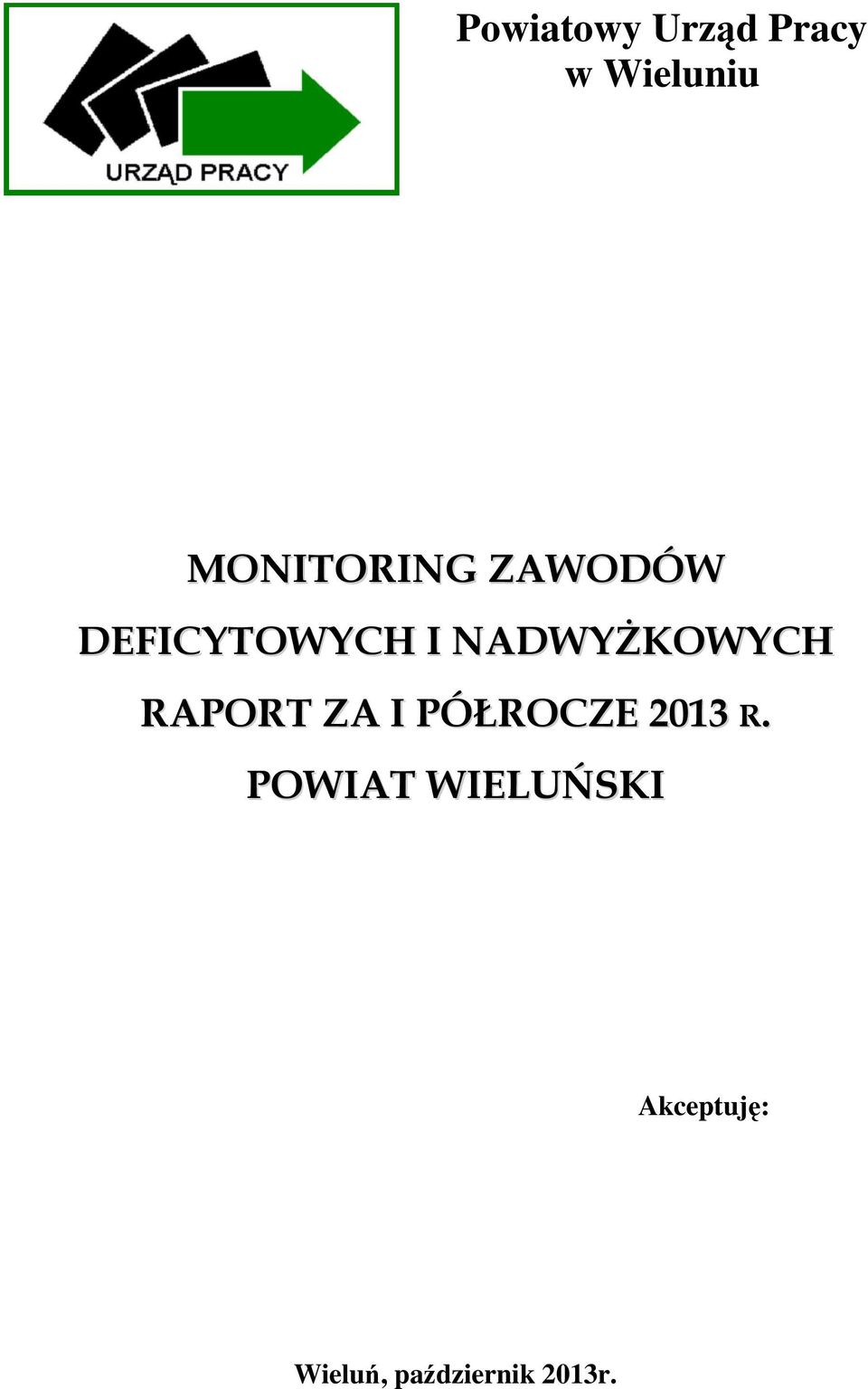 NADWYŻKOWYCH RAPORT ZA I PÓŁROCZE 2013 R.