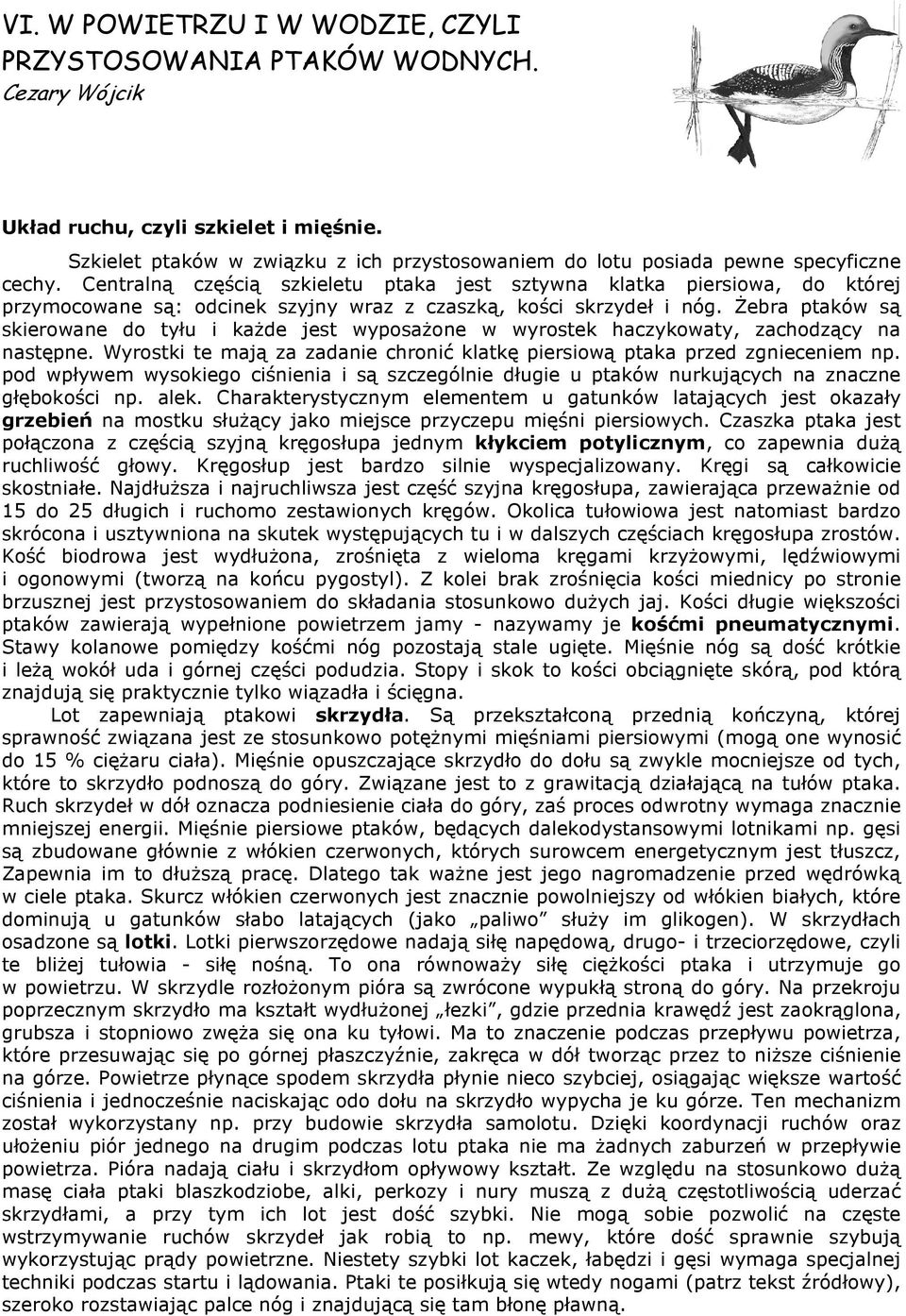 Centralną częścią szkieletu ptaka jest sztywna klatka piersiowa, do której przymocowane są: odcinek szyjny wraz z czaszką, kości skrzydeł i nóg.