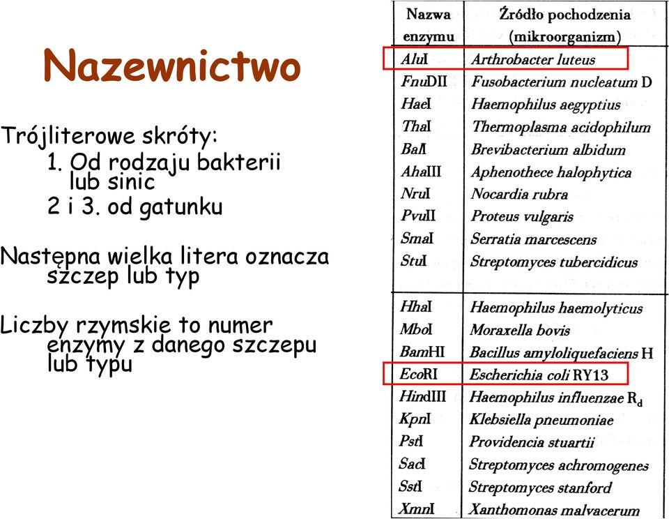 od gatunku Następna wielka litera oznacza