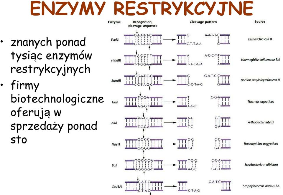 restrykcyjnych firmy