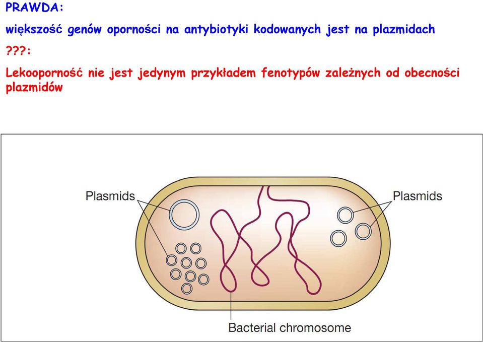 ??: Lekooporność nie jest jedynym