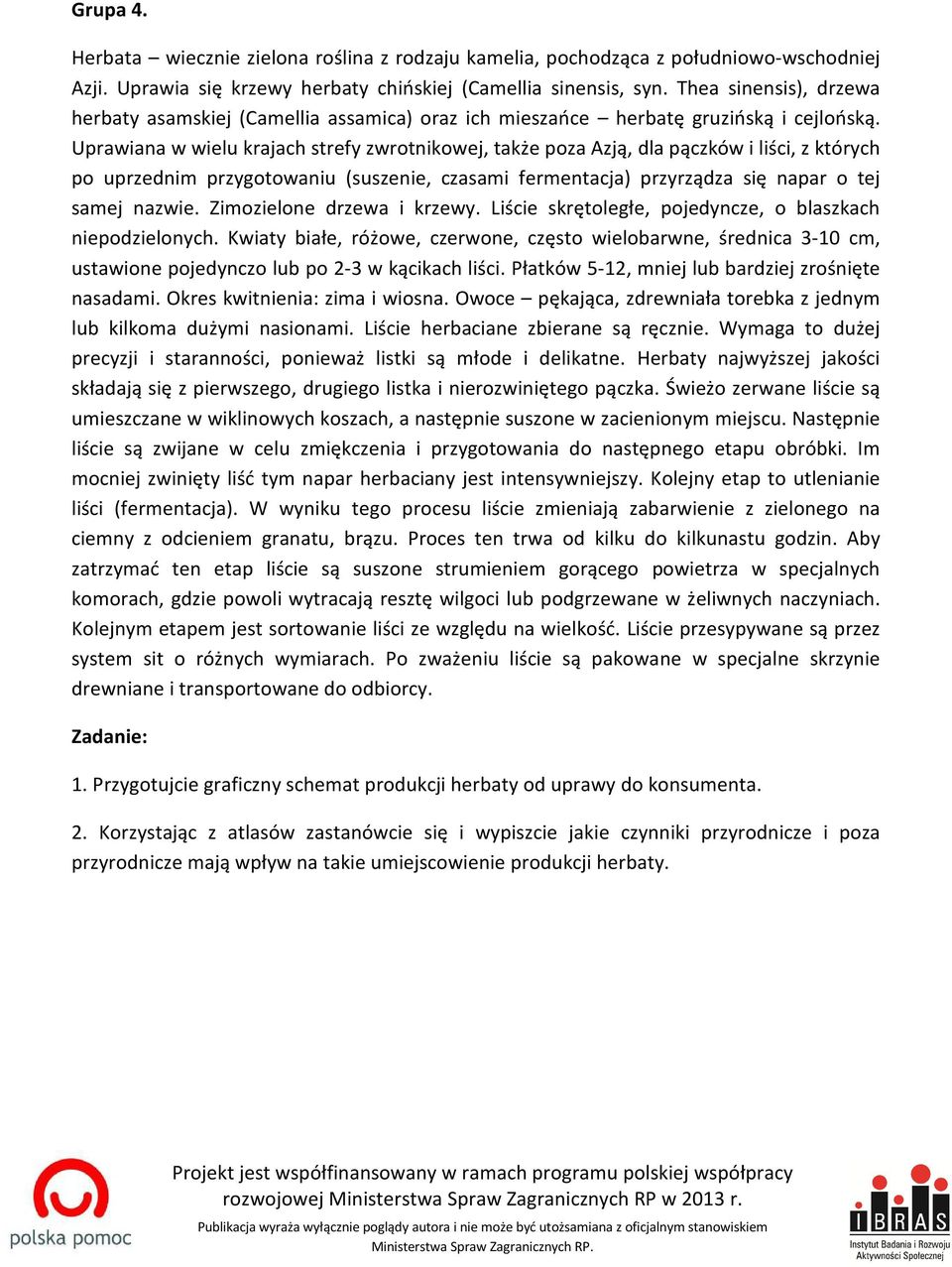 Uprawiana w wielu krajach strefy zwrotnikowej, także poza Azją, dla pączków i liści, z których po uprzednim przygotowaniu (suszenie, czasami fermentacja) przyrządza się napar o tej samej nazwie.