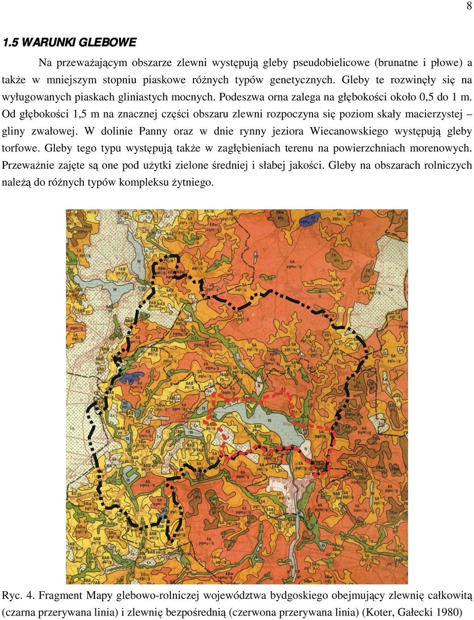 Od głębokości 1,5 m na znacznej części obszaru zlewni rozpoczyna się poziom skały macierzystej gliny zwałowej. W dolinie Panny oraz w dnie rynny jeziora Wiecanowskiego występują gleby torfowe.