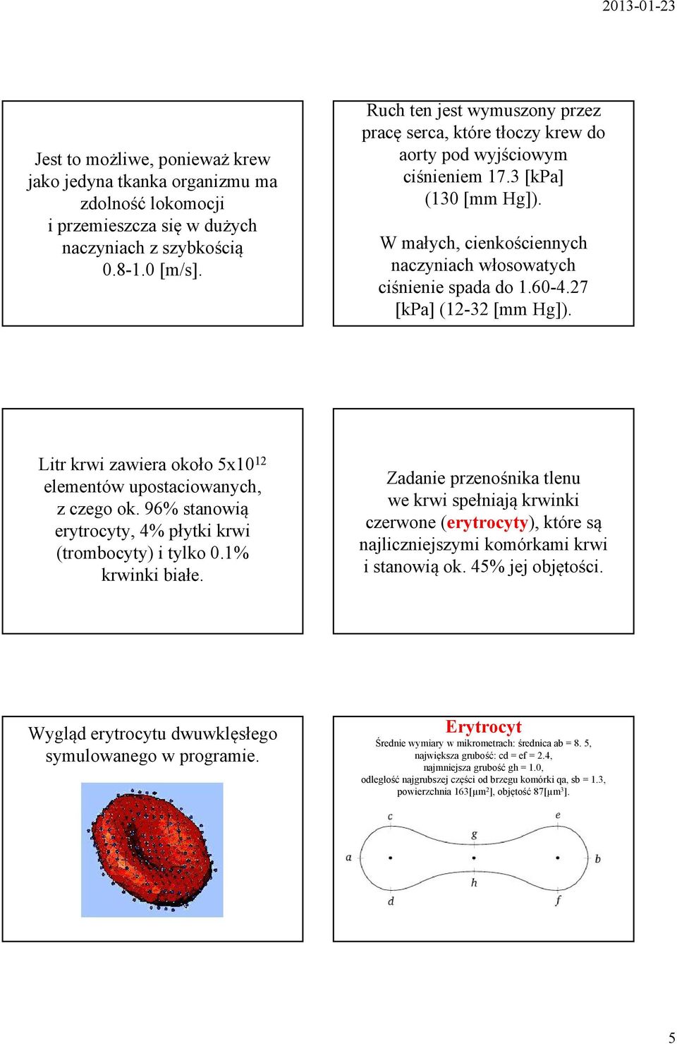 7 [Pa] (1-3 [mm Hg]). Litr rwi zawiera ooło 5x10 1 elementów upotaciowanych, z czego o. 96% tanowią erytrocyty, 4% płyti rwi (trombocyty) i tylo 0.1% rwini białe.