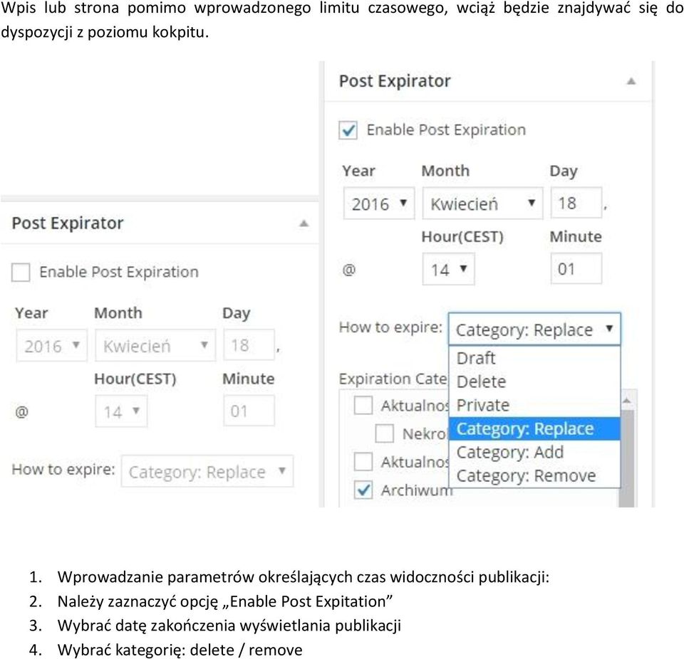 Wprowadzanie parametrów określających czas widoczności publikacji: 2.