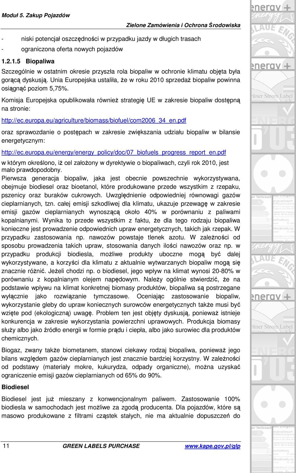 Unia Europejska ustaliła, że w roku 2010 sprzedaż biopaliw powinna osiągnąć poziom 5,75%. Komisja Europejska opublikowała również strategię UE w zakresie biopaliw dostępną na stronie: http://ec.