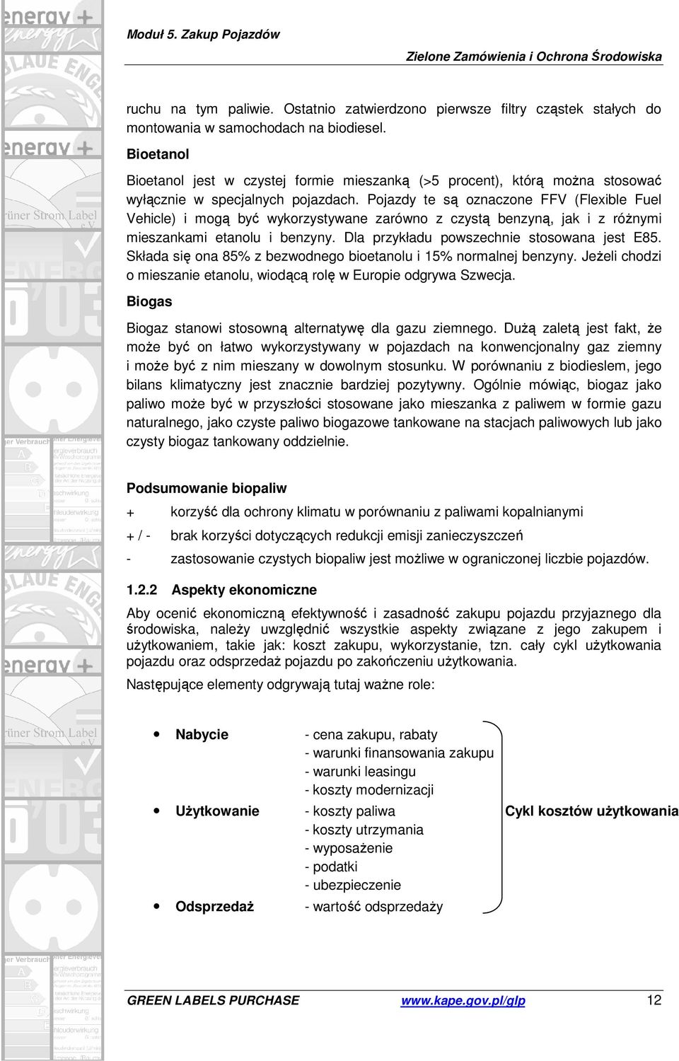 Pojazdy te są oznaczone FFV (Flexible Fuel Vehicle) i mogą być wykorzystywane zarówno z czystą benzyną, jak i z różnymi mieszankami etanolu i benzyny. Dla przykładu powszechnie stosowana jest E85.