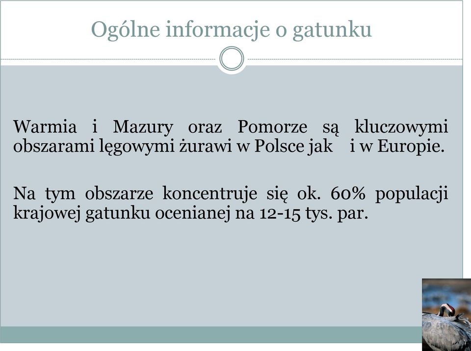 Polsce jak i w Europie.