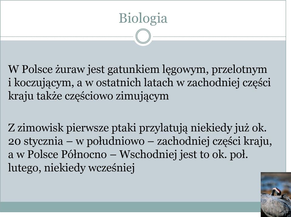 pierwsze ptaki przylatują niekiedy już ok.