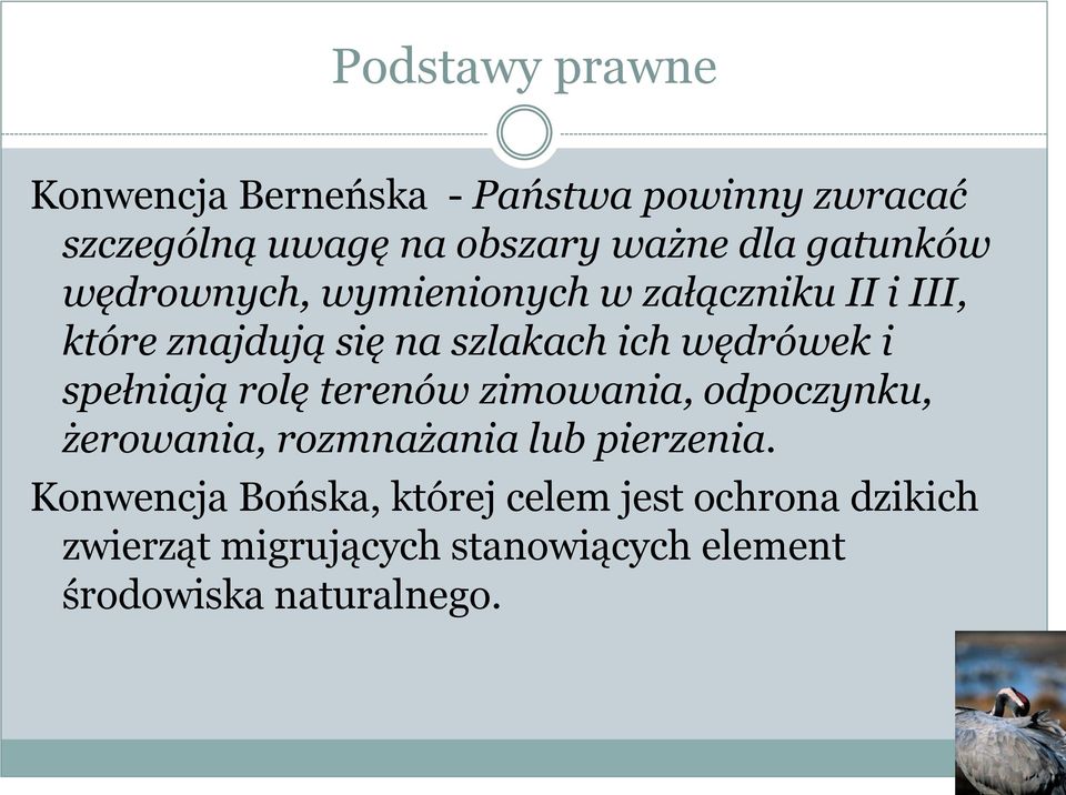 i spełniają rolę terenów zimowania, odpoczynku, żerowania, rozmnażania lub pierzenia.