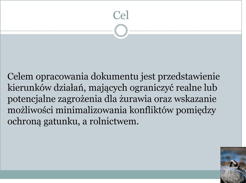 potencjalne zagrożenia dla żurawia oraz wskazanie