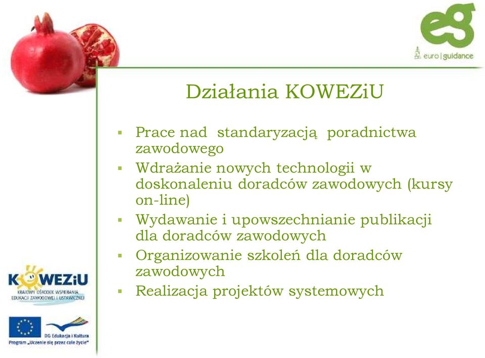 on-line) Wydawanie i upowszechnianie publikacji dla doradców zawodowych