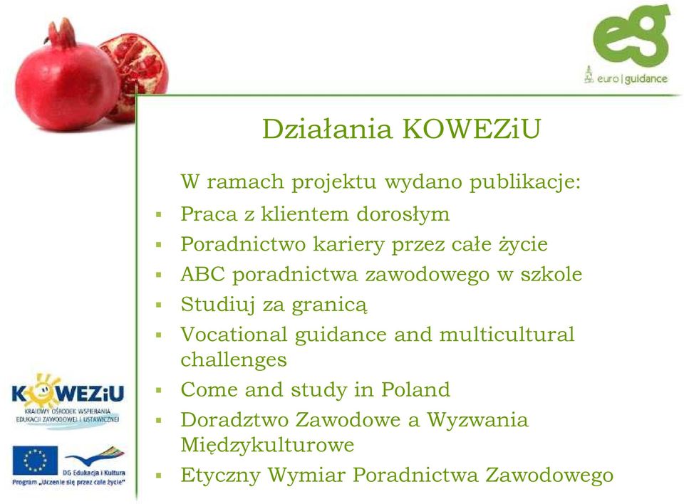za granicą Vocational guidance and multicultural challenges Come and study in
