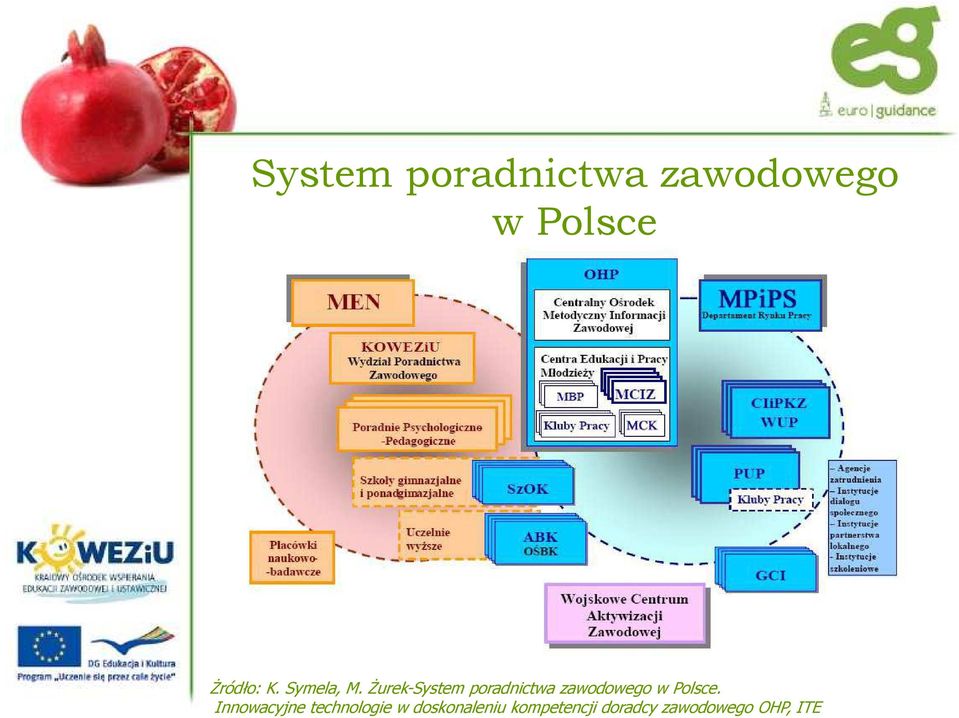 śurek-system poradnictwa zawodowego w Polsce.