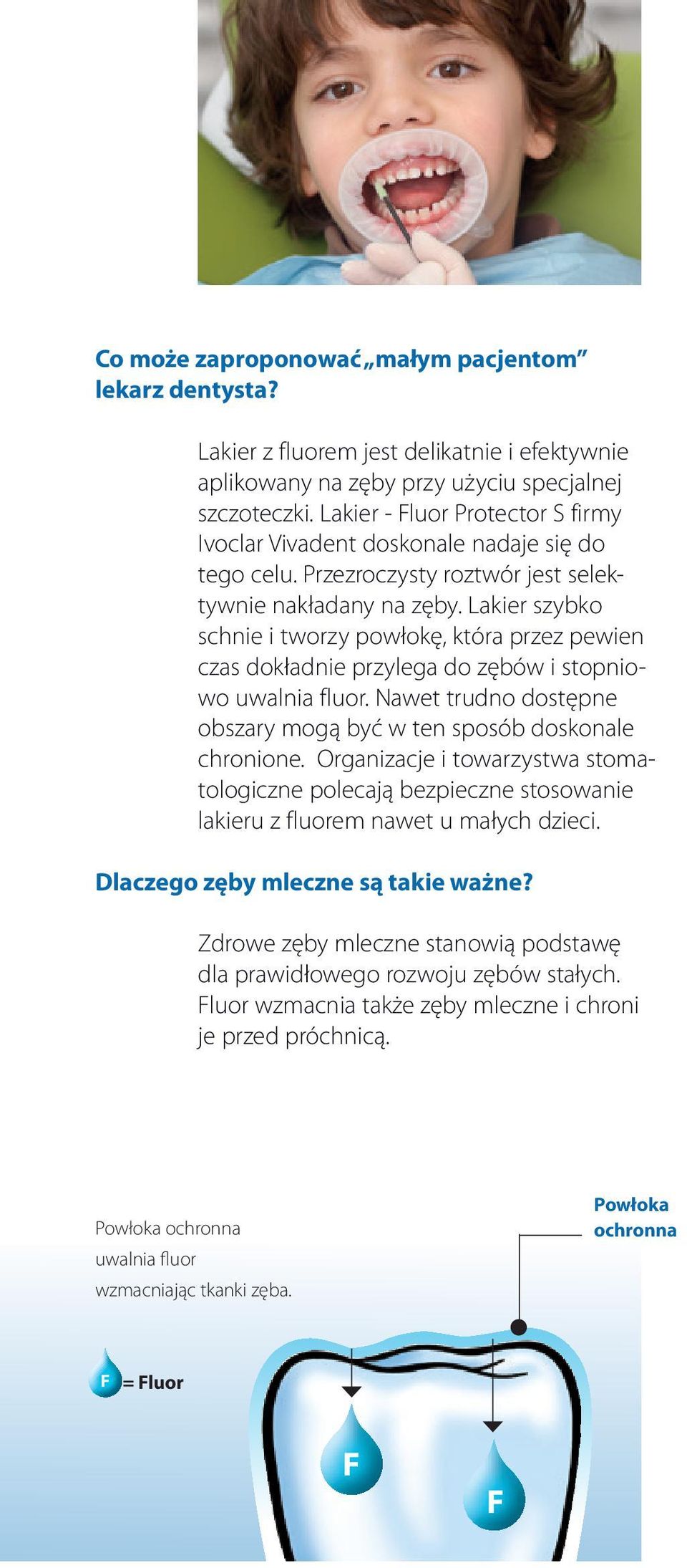 Lakier szybko schnie i tworzy powłokę, która przez pewien czas dokładnie przylega do zębów i stopniowo uwalnia fluor. Nawet trudno dostępne obszary mogą być w ten sposób doskonale chronione.