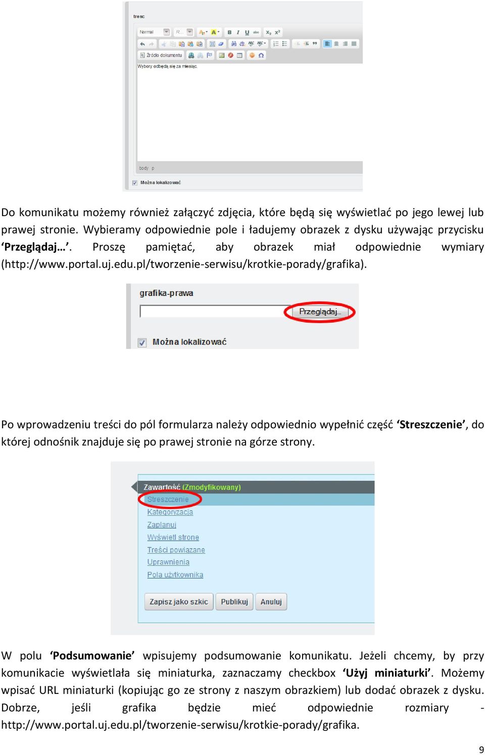 Po wprowadzeniu treści do pól formularza należy odpowiednio wypełnić część Streszczenie, do której odnośnik znajduje się po prawej stronie na górze strony.