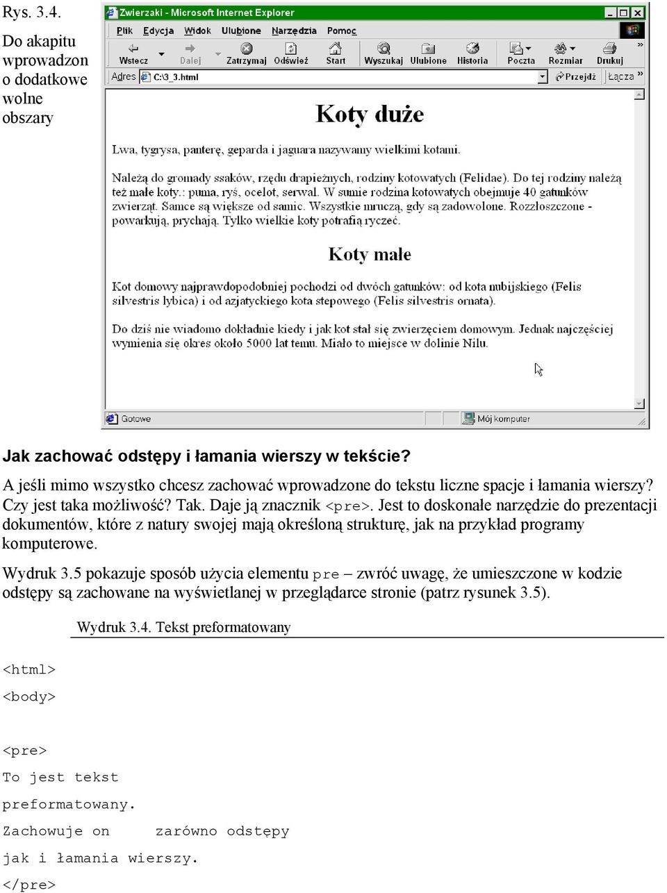 Jest to doskonałe narzędzie do prezentacji dokumentów, które z natury swojej mają określoną strukturę, jak na przykład programy komputerowe. Wydruk 3.