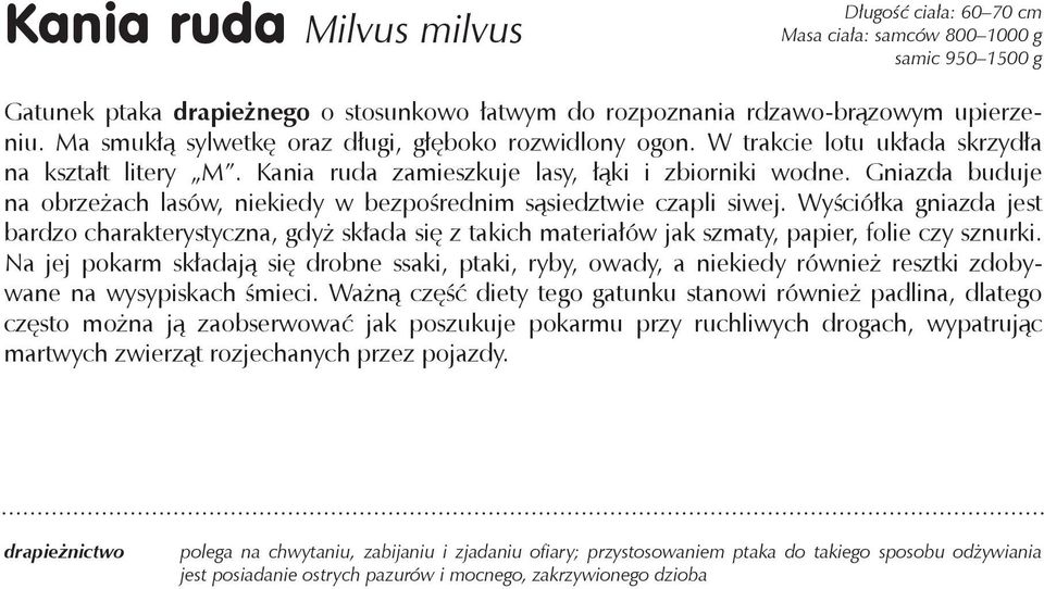 Gniazda buduje na obrzeżach lasów, niekiedy w bezpośrednim sąsiedztwie czapli siwej.