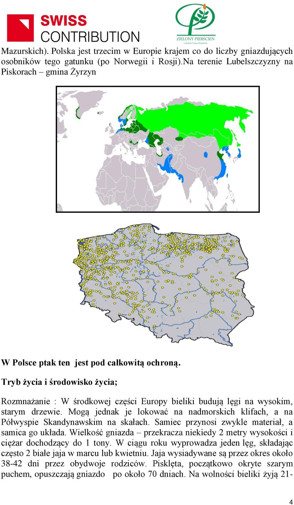 Tryb życia i środowisko życia; Rozmnażanie : W środkowej części Europy bieliki budują lęgi na wysokim, starym drzewie.