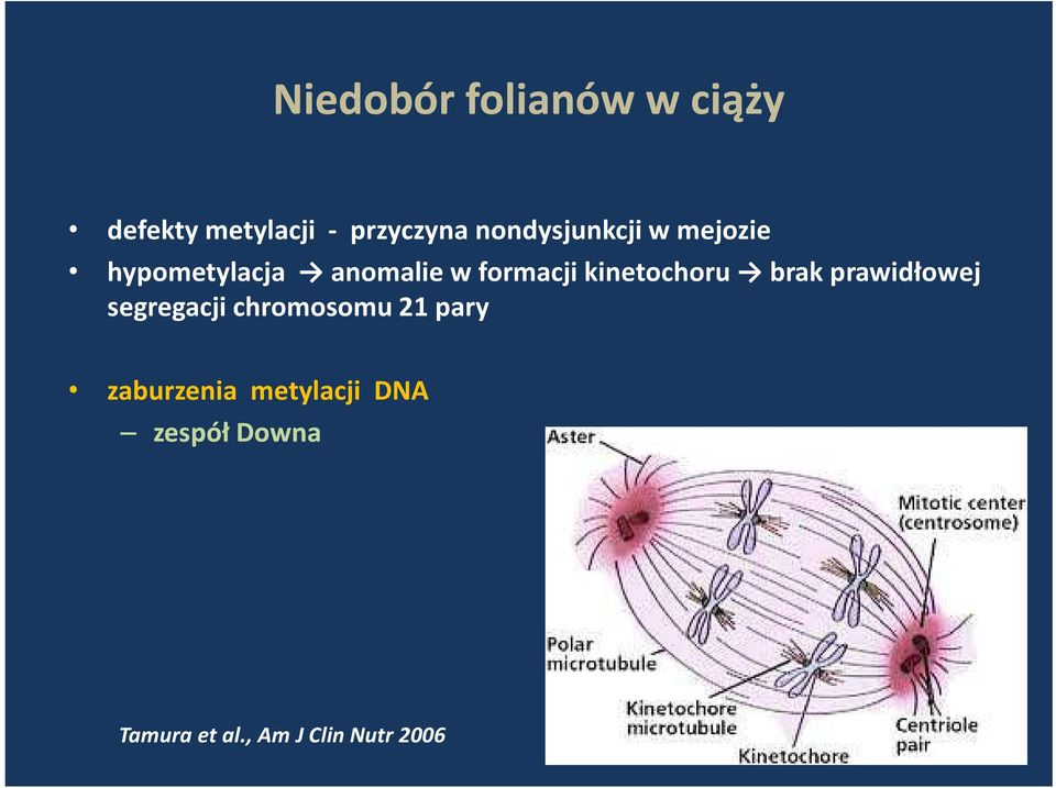 kinetochoru brak prawidłowej segregacji chromosomu 21 pary