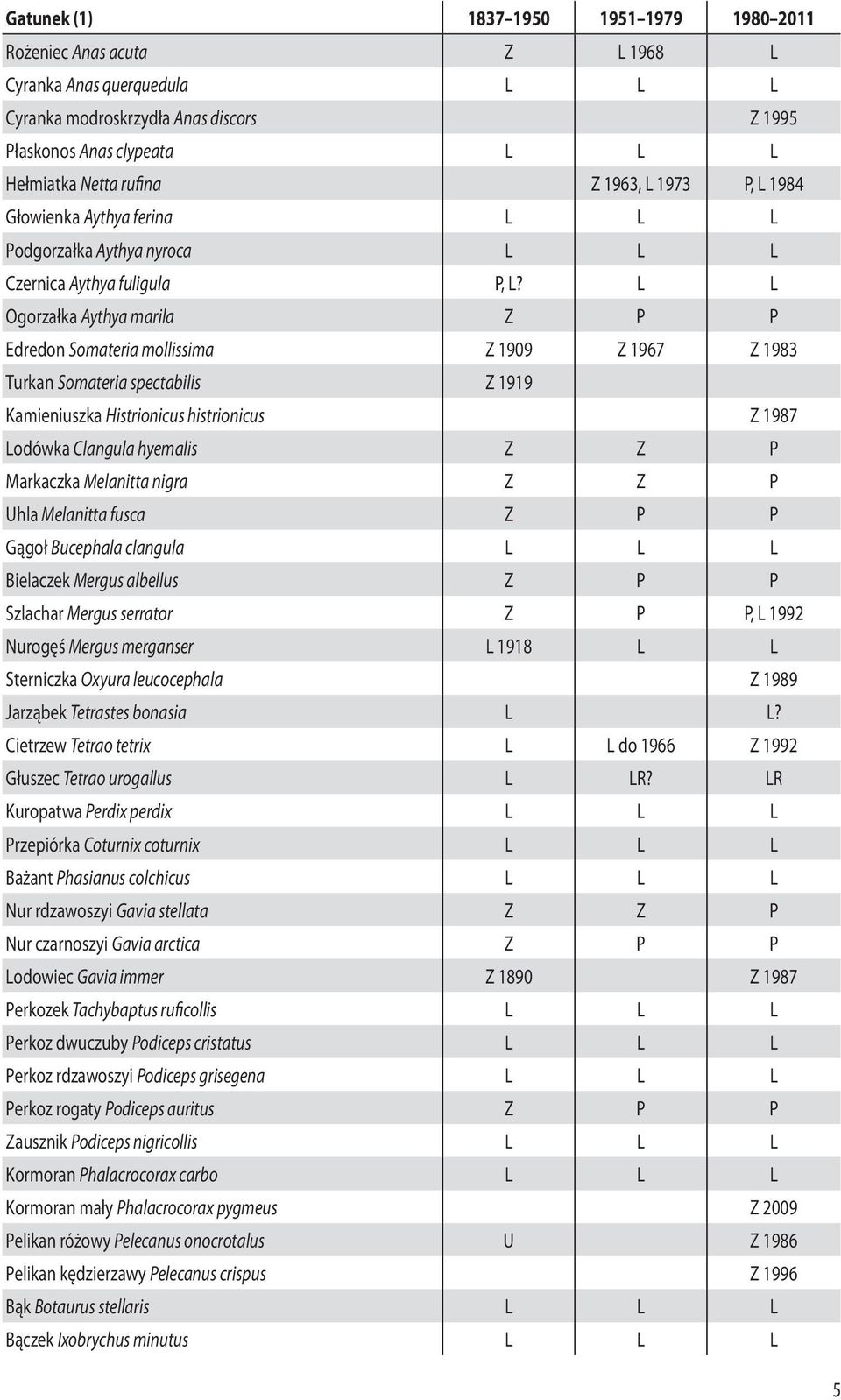 L L Ogorzałka Aythya marila Z P P Edredon Somateria mollissima Z 1909 Z 1967 Z 1983 Turkan Somateria spectabilis Z 1919 Kamieniuszka Histrionicus histrionicus Z 1987 Lodówka Clangula hyemalis Z Z P