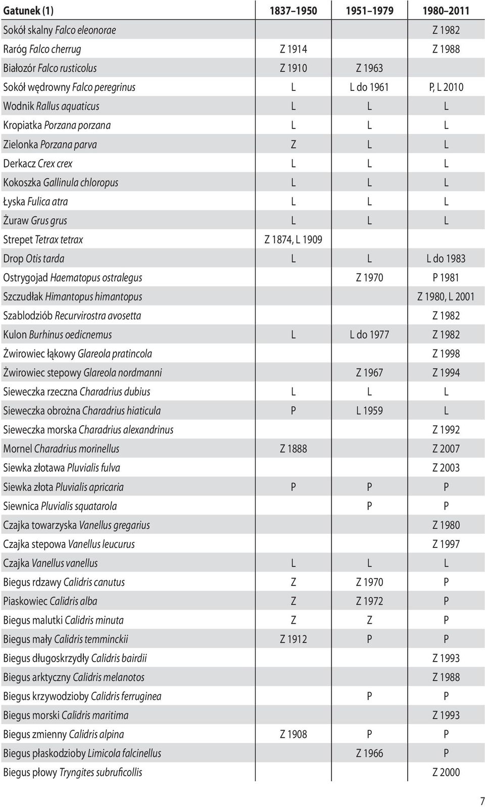 1909 Drop Otis tarda L L L do 1983 Ostrygojad Haematopus ostralegus Z 1970 P 1981 Szczudłak Himantopus himantopus Z 1980, L 2001 Szablodziób Recurvirostra avosetta Z 1982 Kulon Burhinus oedicnemus L